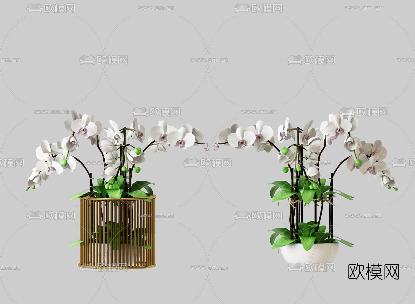 现代鲜花盆栽3d模型下载