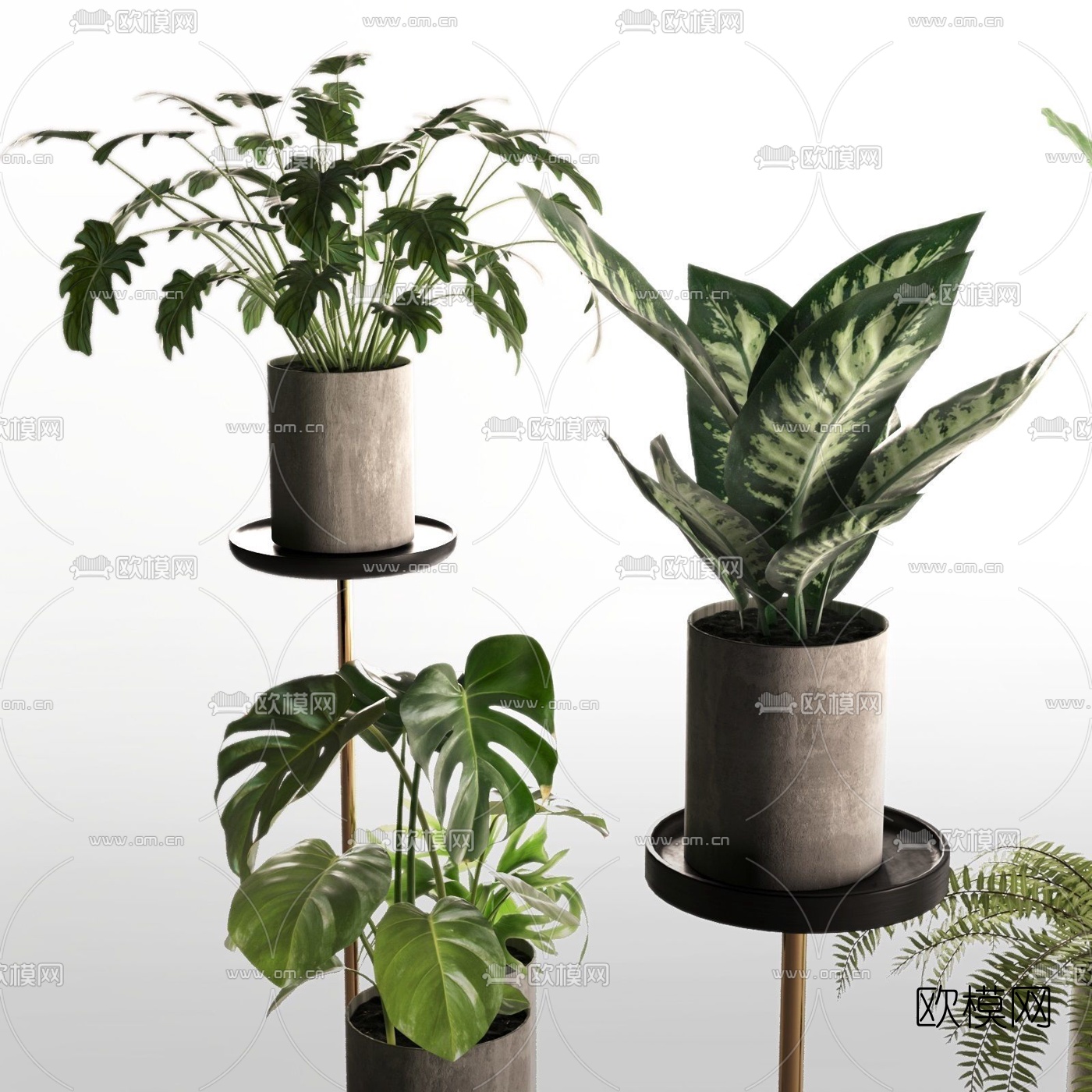 现代绿植盆栽组合3d模型下载（渲染图2）