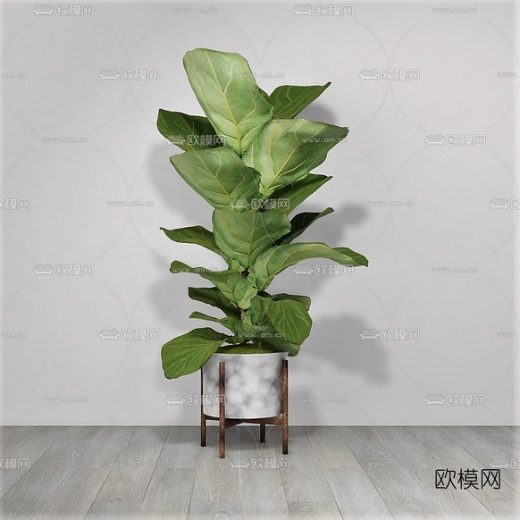 现代绿植盆栽su模型下载(渲染图3)