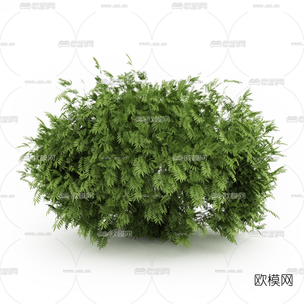 现代灌木3d模型