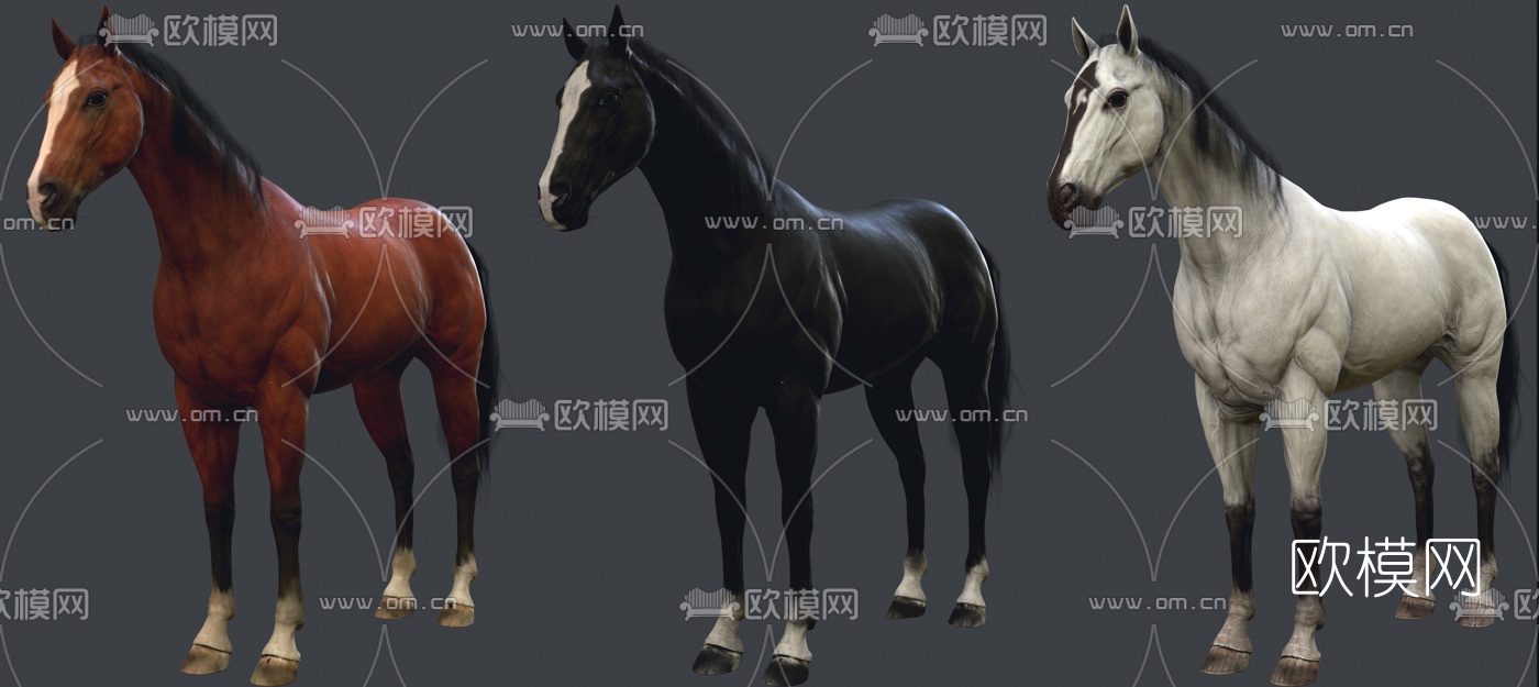 现代动物马3d模型下载（渲染图1）