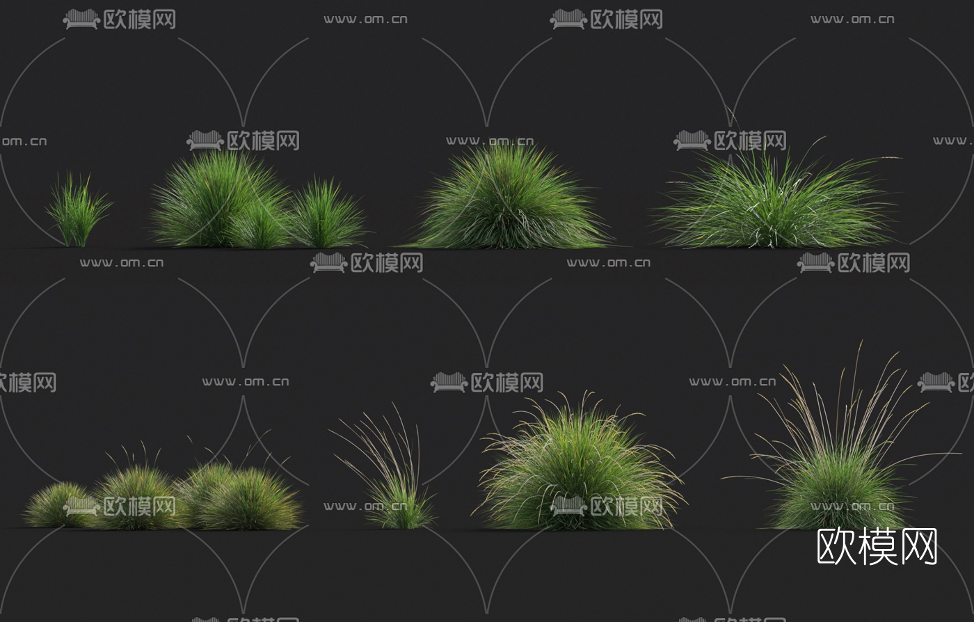 现代花草3d模型
