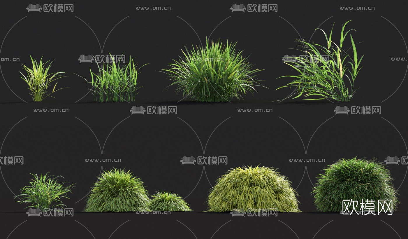 现代花草3d模型