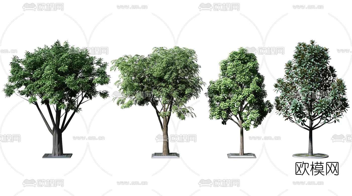 现代景观树3d模型