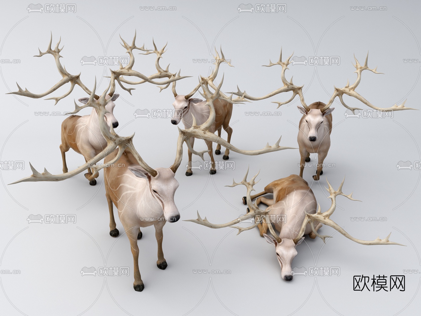 现代麋鹿3d模型