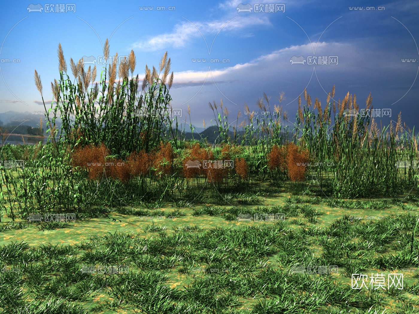 现代野草芦苇3d模型