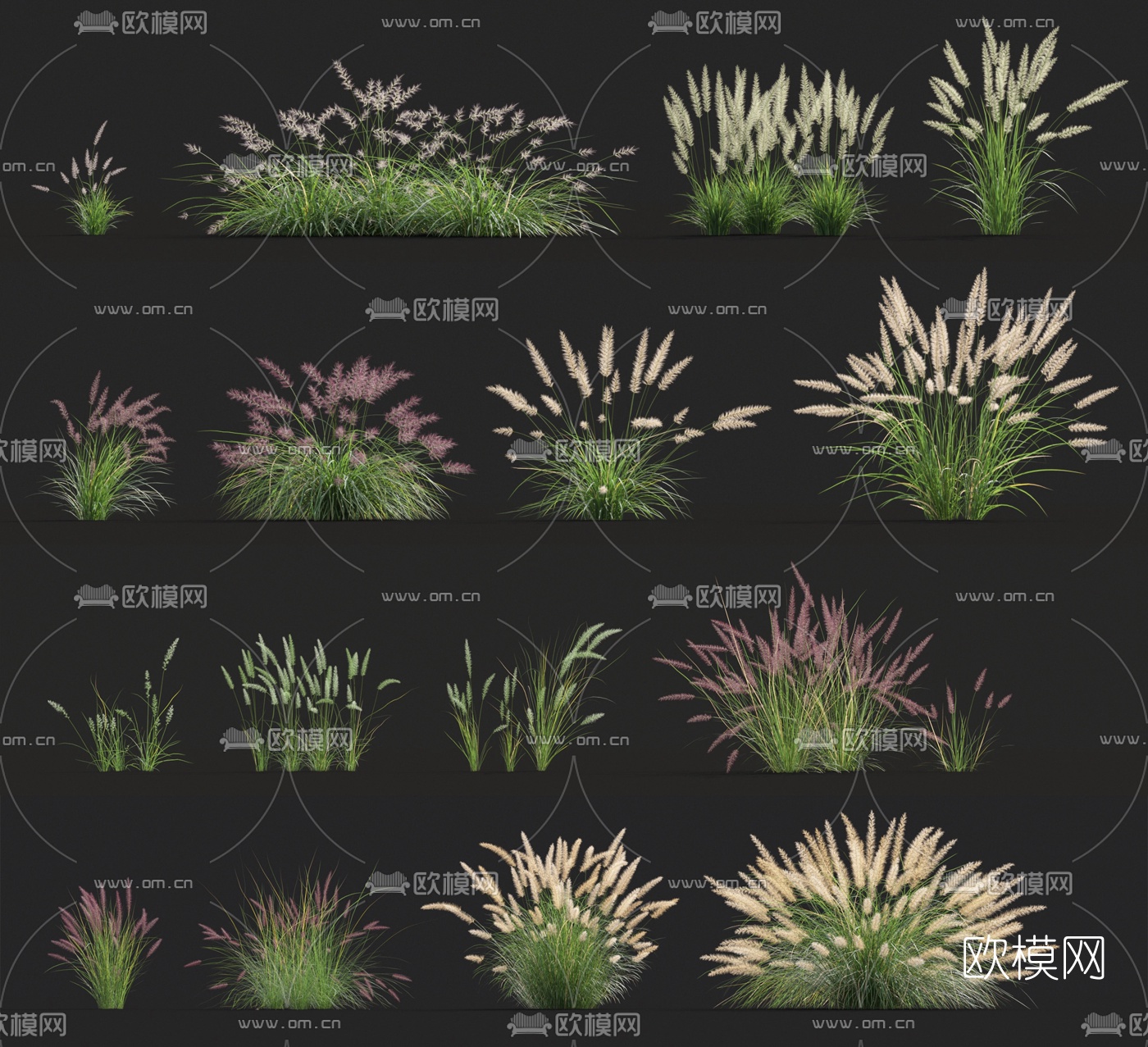 现代花草3d模型