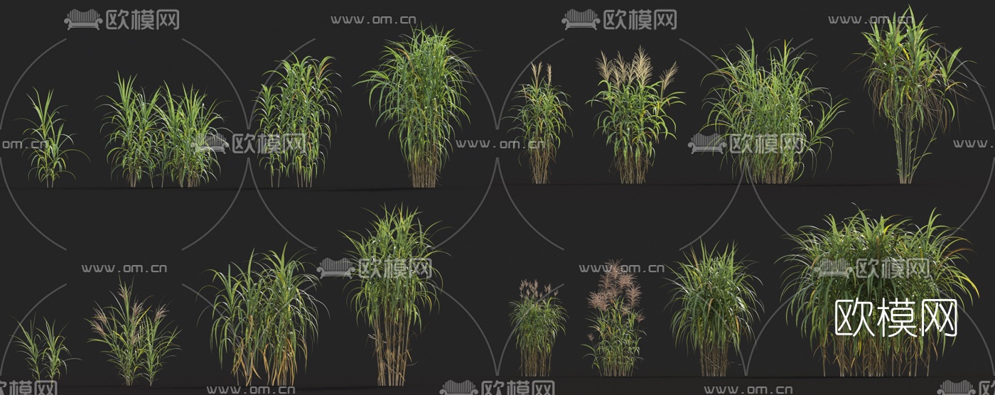现代花草3d模型