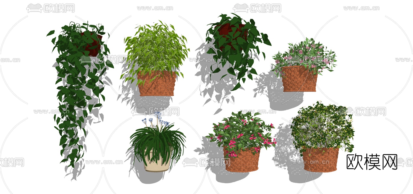 现代墙饰吊篮植物组合su模型下载