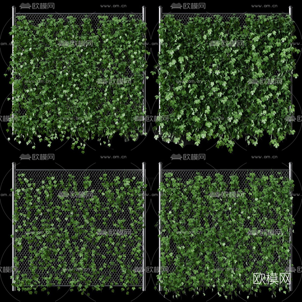现代藤蔓植物3D模型