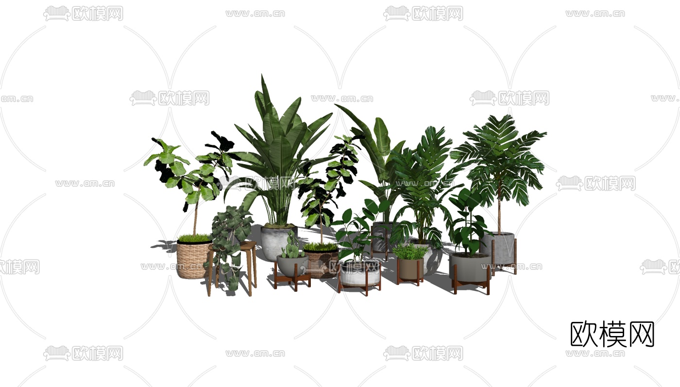 现代盆栽植物组合su模型下载（渲染图2）