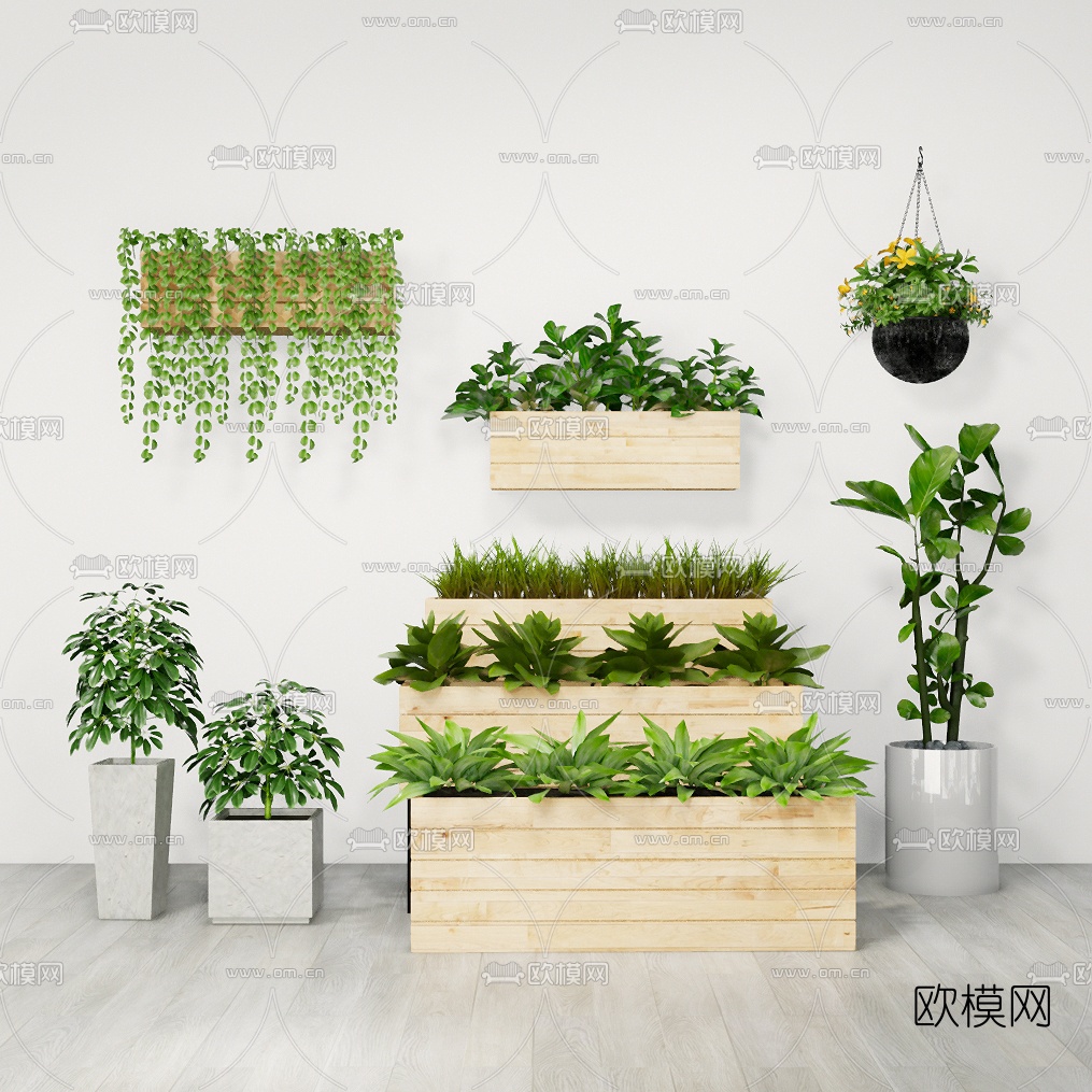 现代吊兰盆栽组合su模型下载（渲染图3）