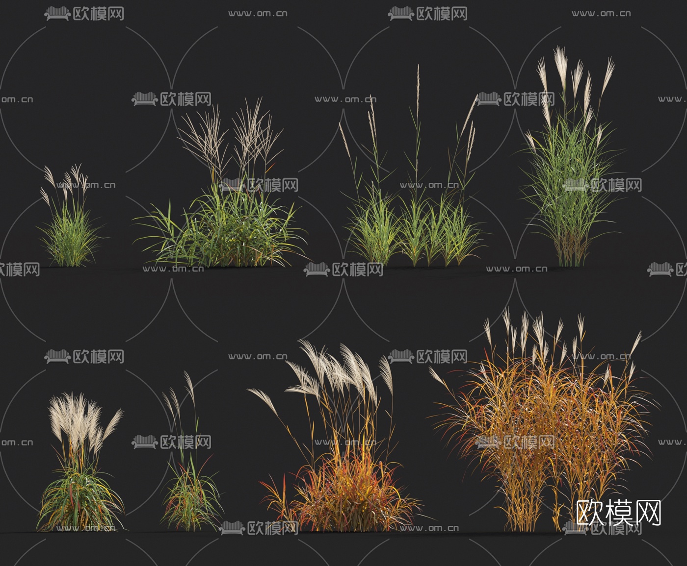 现代花草3d模型下载
