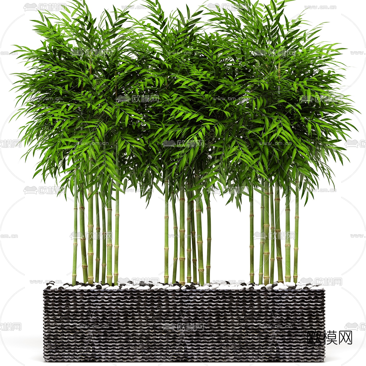 现代植物竹子盆栽3D模型