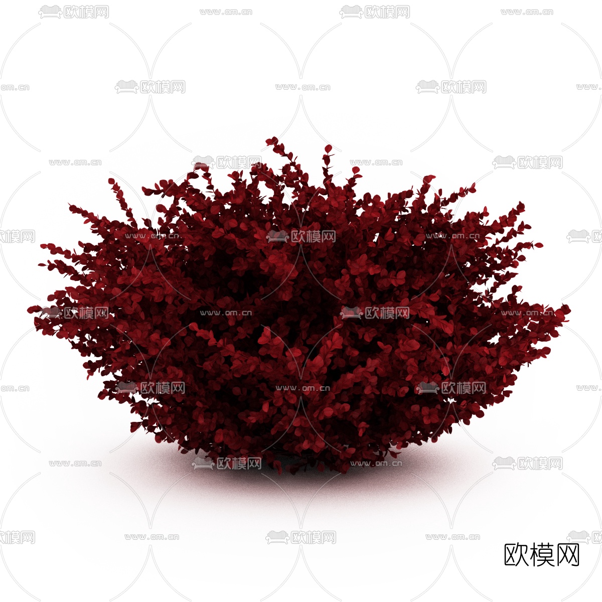 现代灌木3d模型