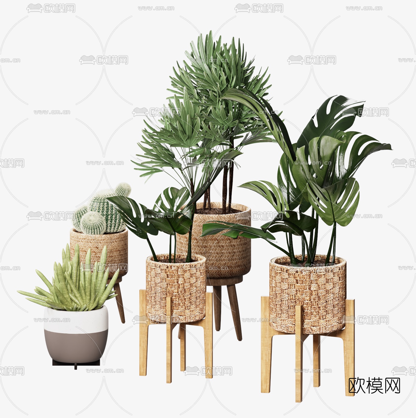 北欧植物盆栽组合3d模型