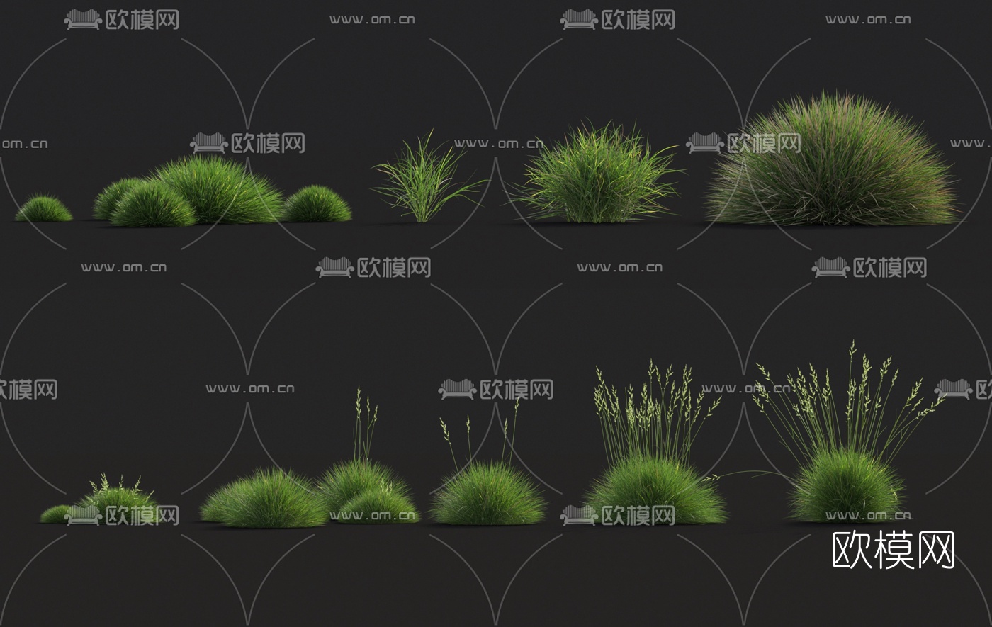 现代花草3d模型