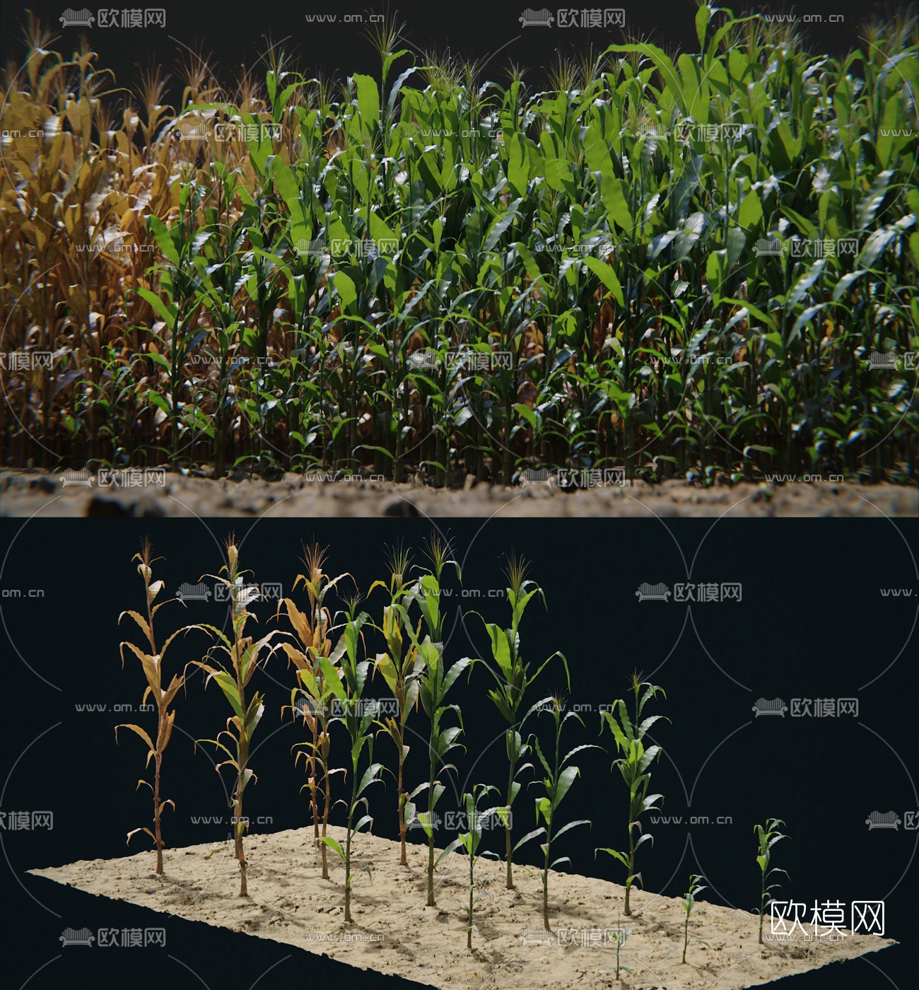 现代土地农作植物组合3d模型下载