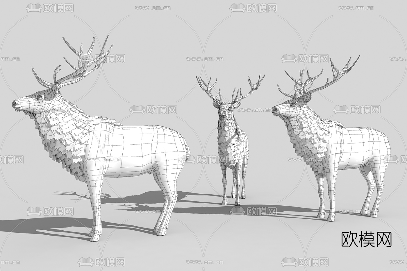 现代动物鹿3d模型下载（渲染图2）