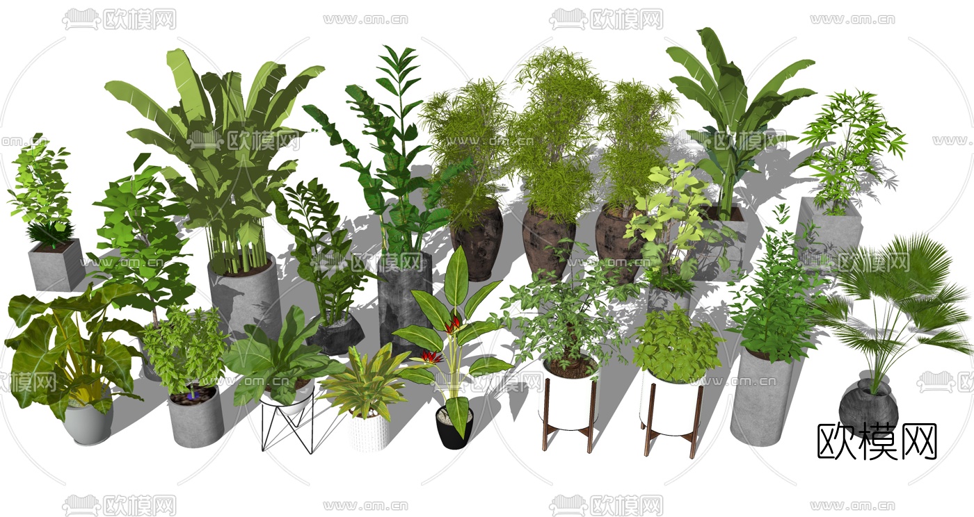 现代植物盆栽组合su模型下载（渲染图1）