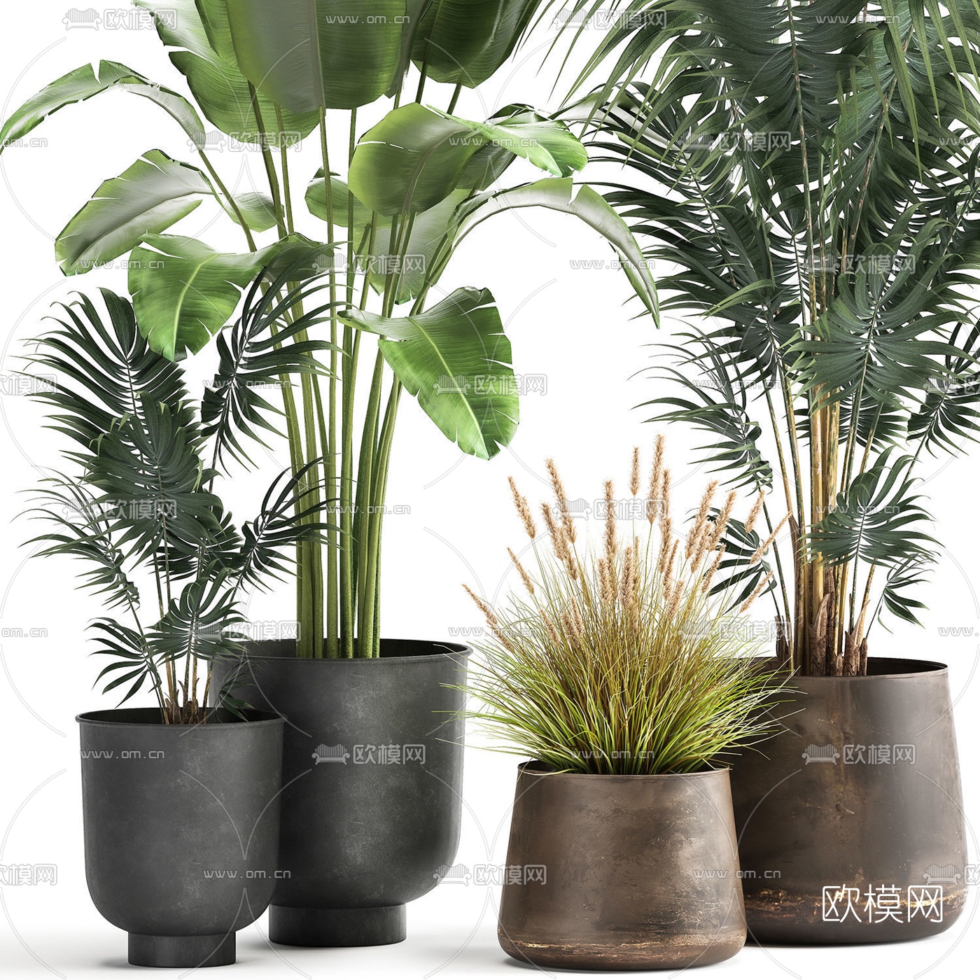 现代植物盆栽3d模型下载（渲染图2）