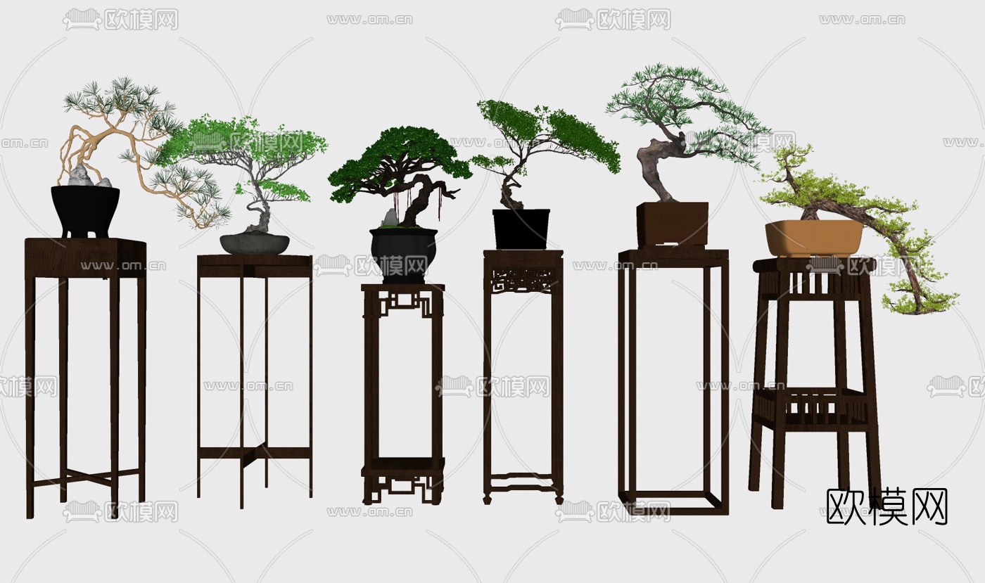 中式罗汉松植物盆栽su模型下载