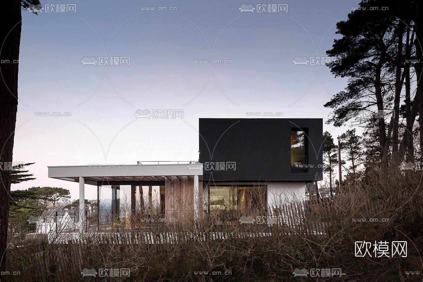 现代独栋别墅外观su模型下载（渲染图4）