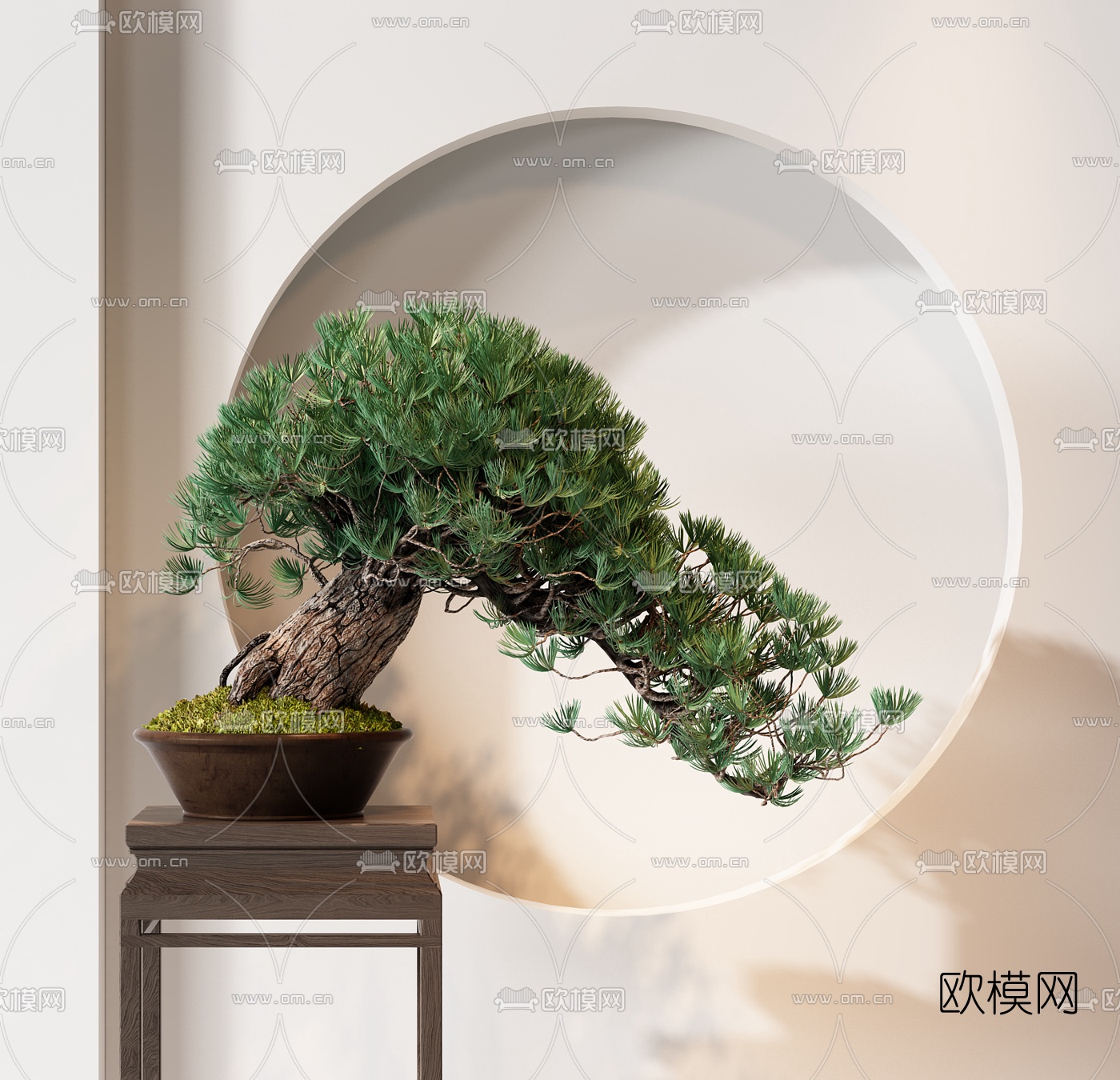 中式松树盆栽3d模型下载