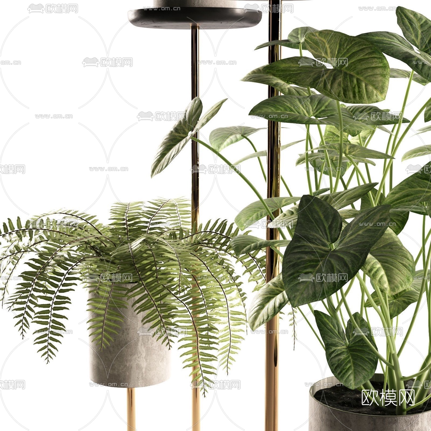 现代绿植盆栽组合3d模型下载（渲染图3）