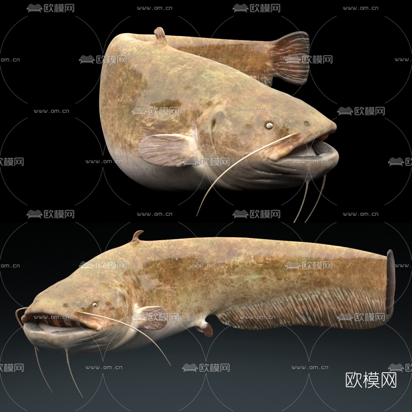 现代鲶鱼3d模型下载