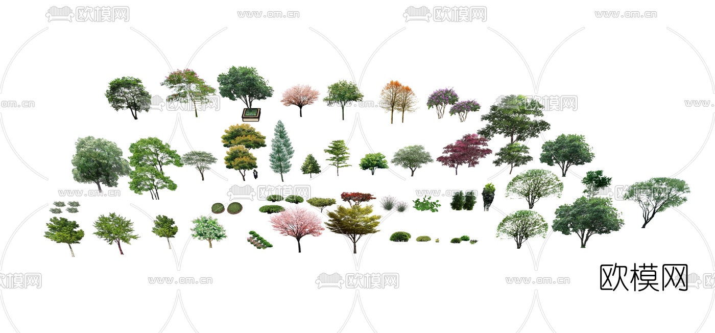 现代植物组合su模型下载（渲染图1）