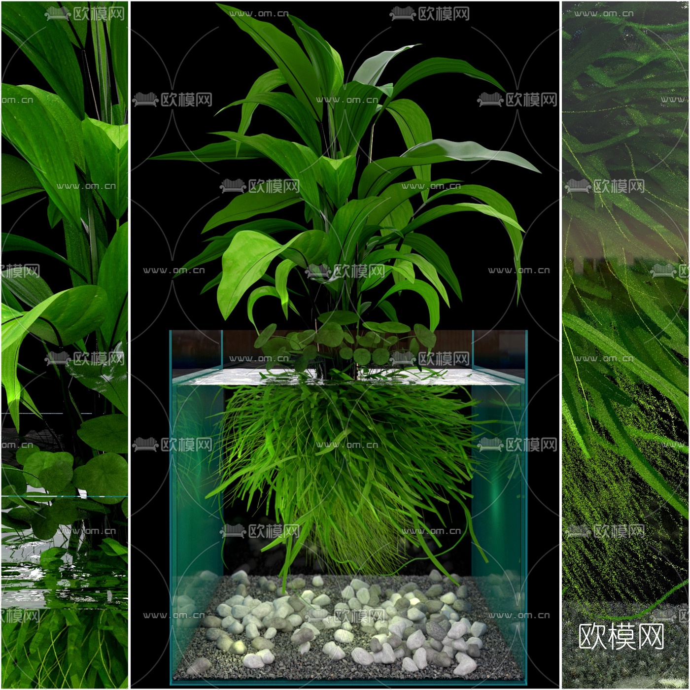 现代水培养植物盆栽3d模型下载