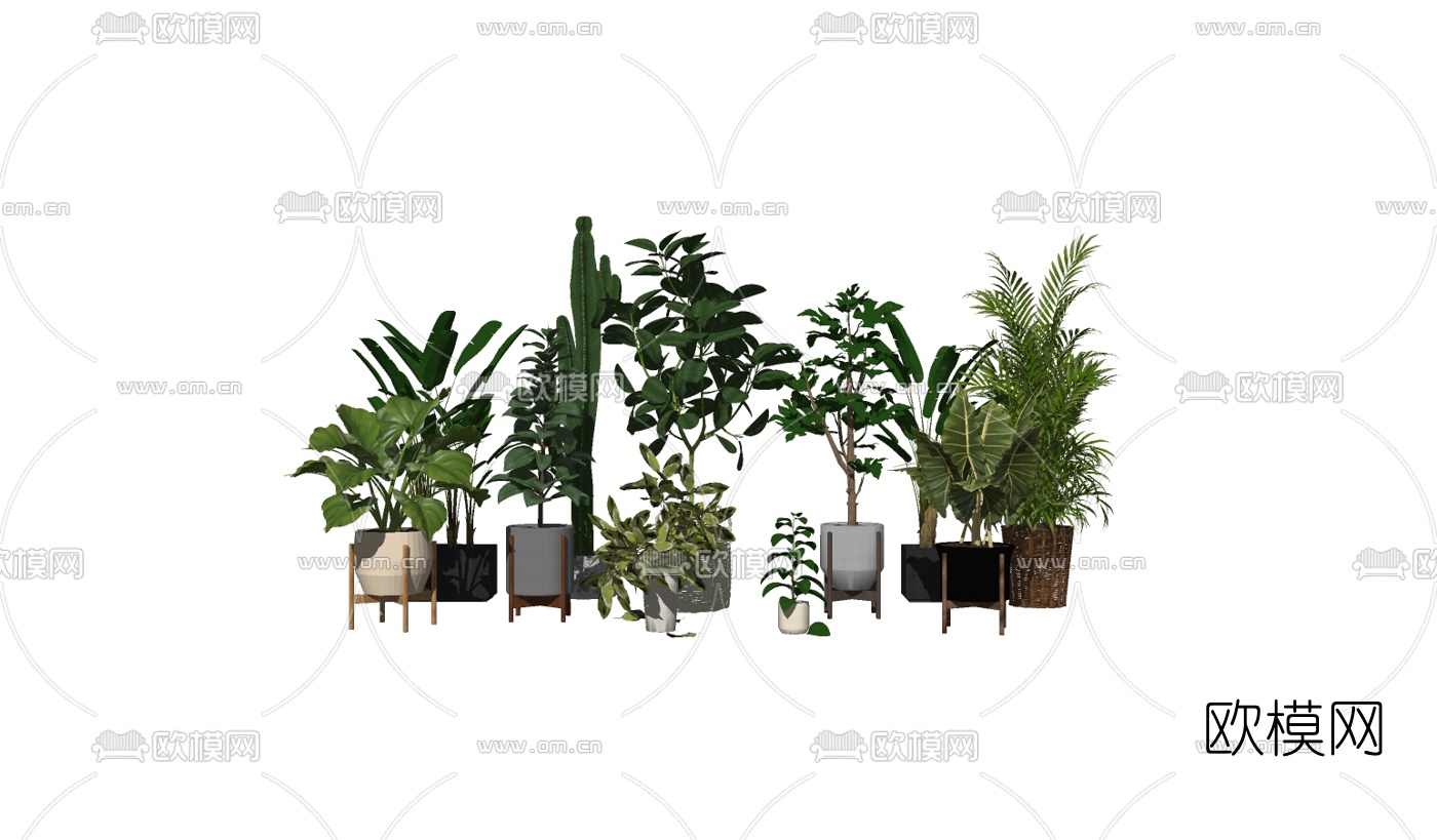 现代绿植盆栽组合su模型下载（渲染图2）