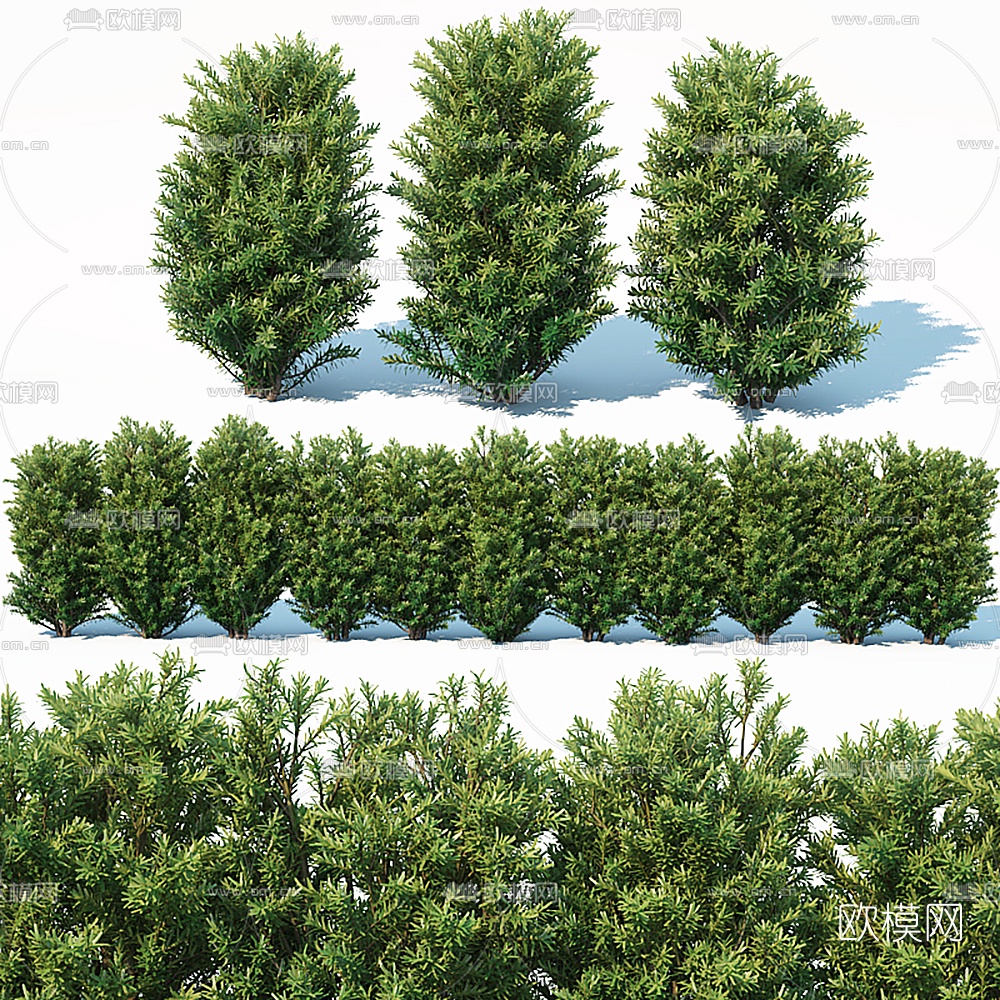 现代灌木植物3d模型下载
