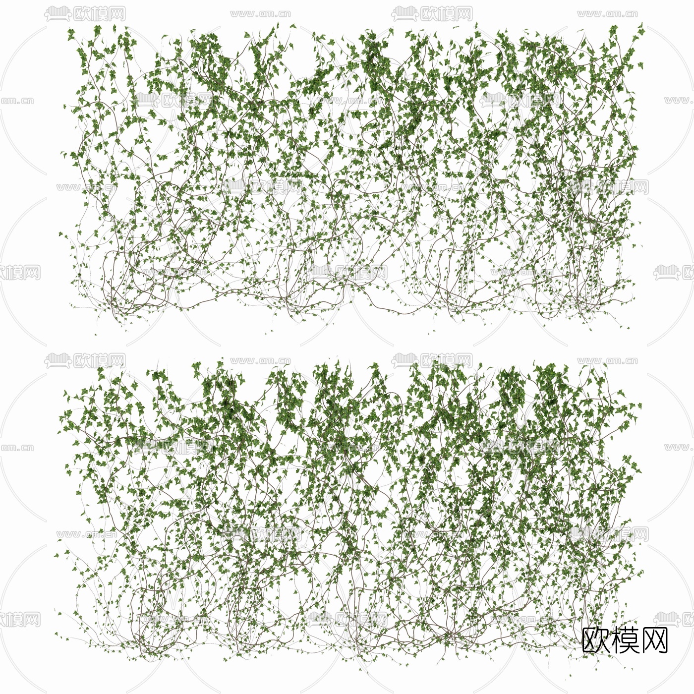 现代植物藤蔓3d模型下载
