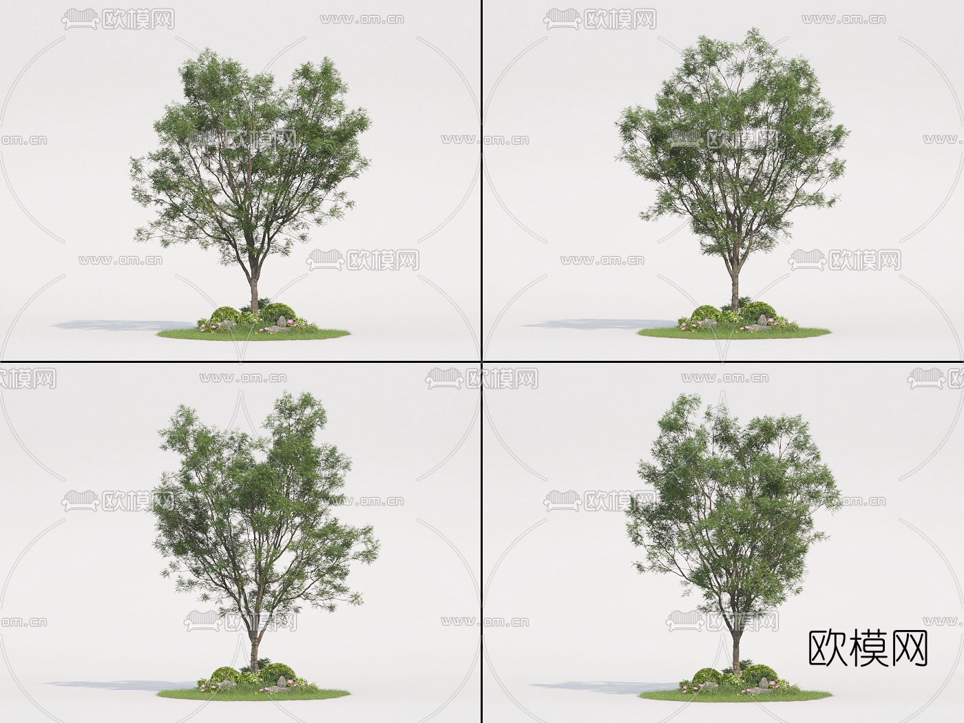 现代景观树3d模型