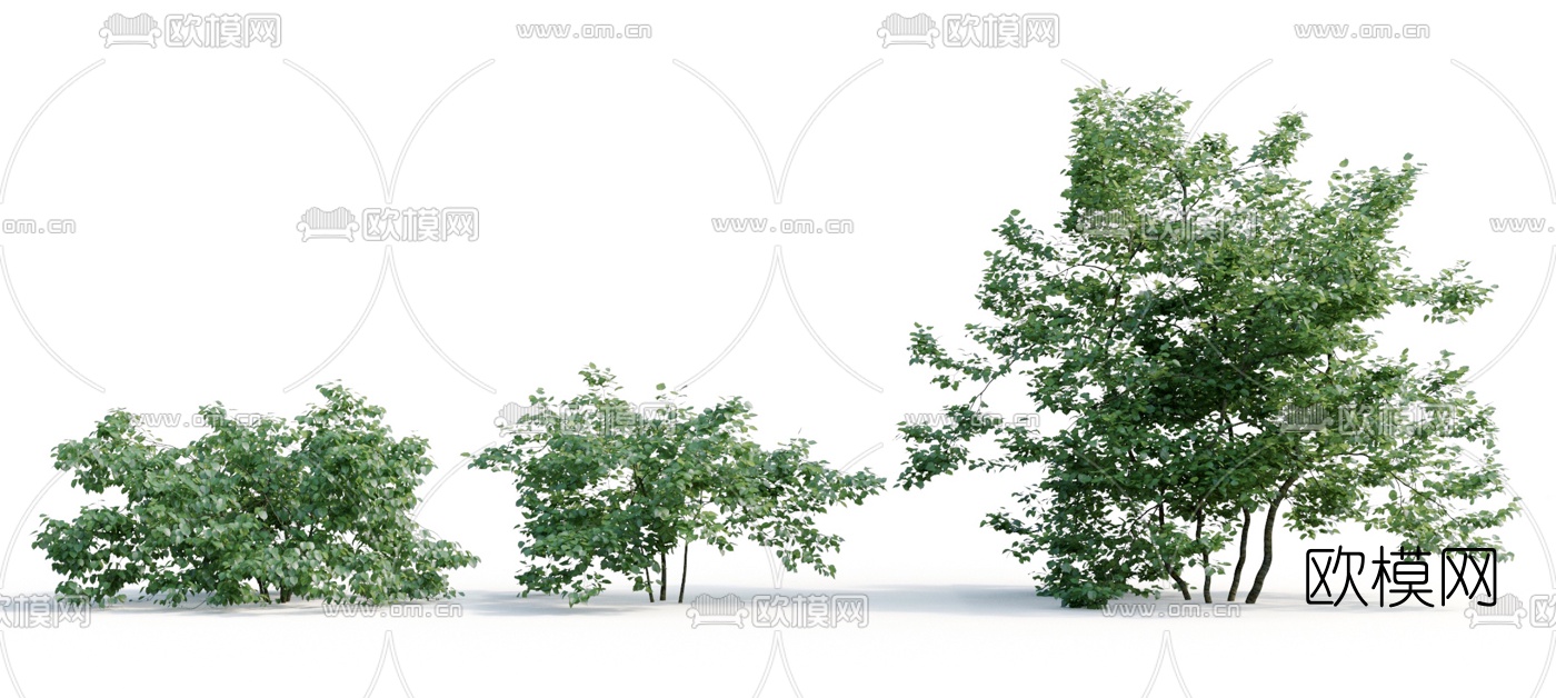 现代植物树木3d模型
