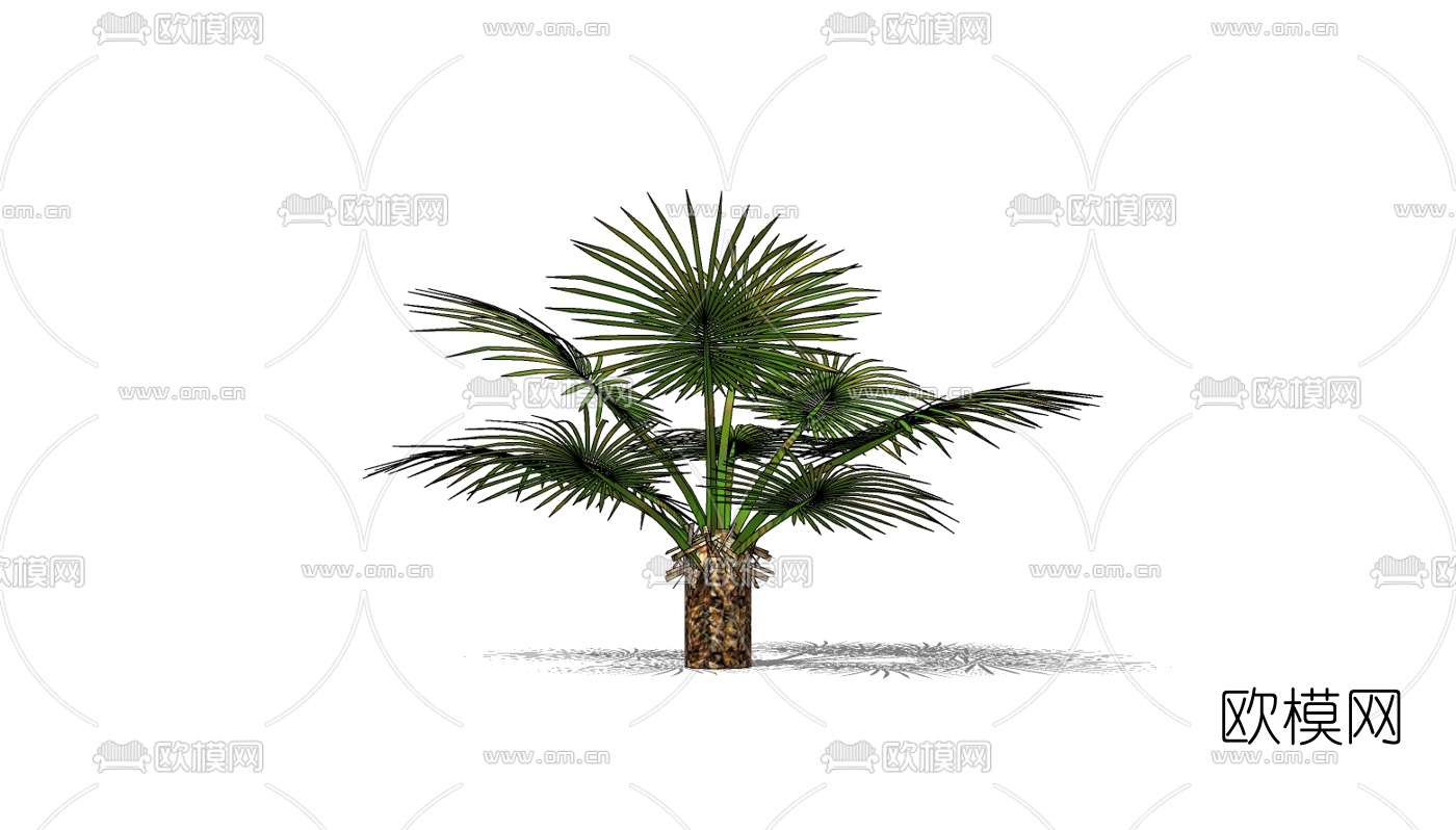 现代铁树免费su模型下载