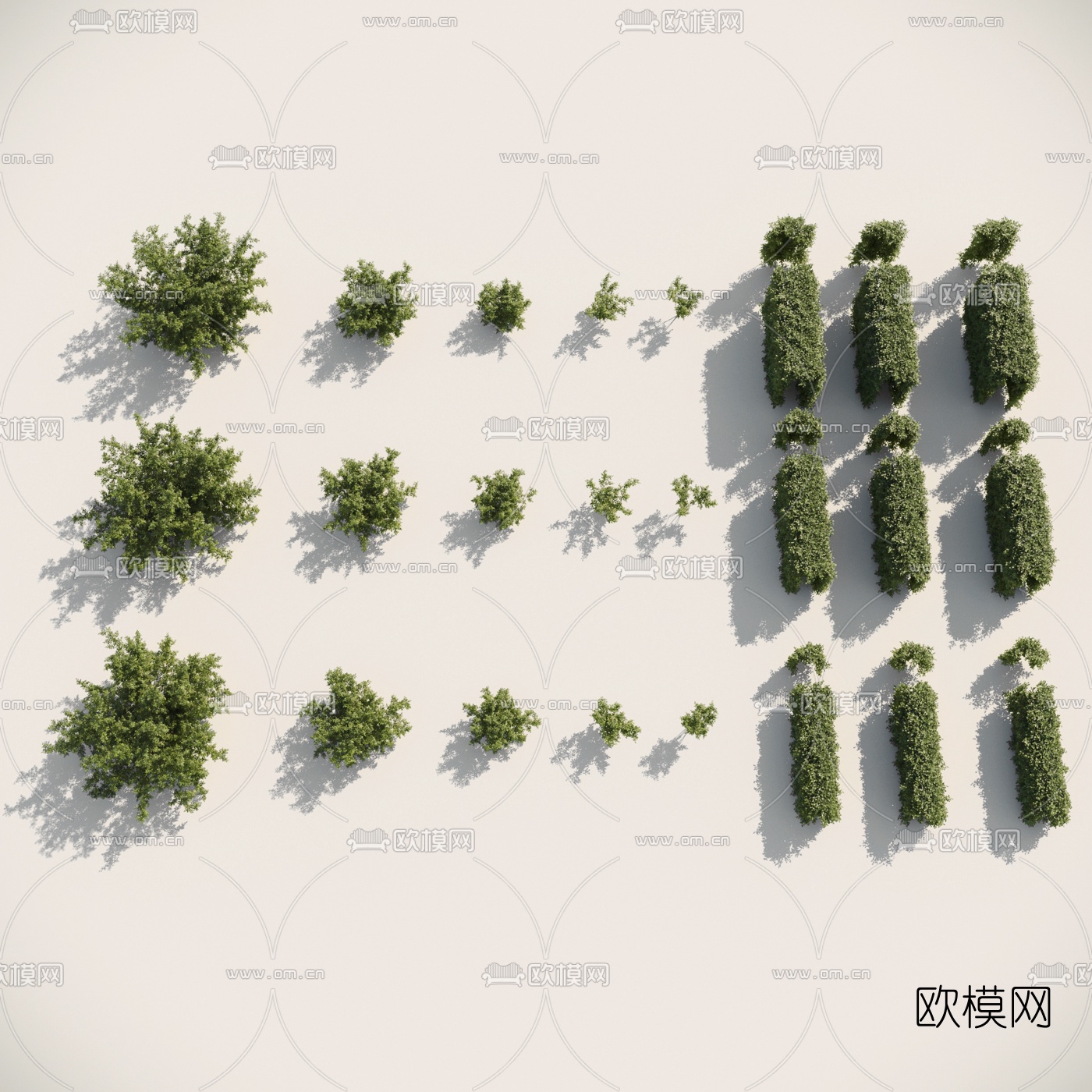 现代绿植灌木3d模型下载（渲染图1）