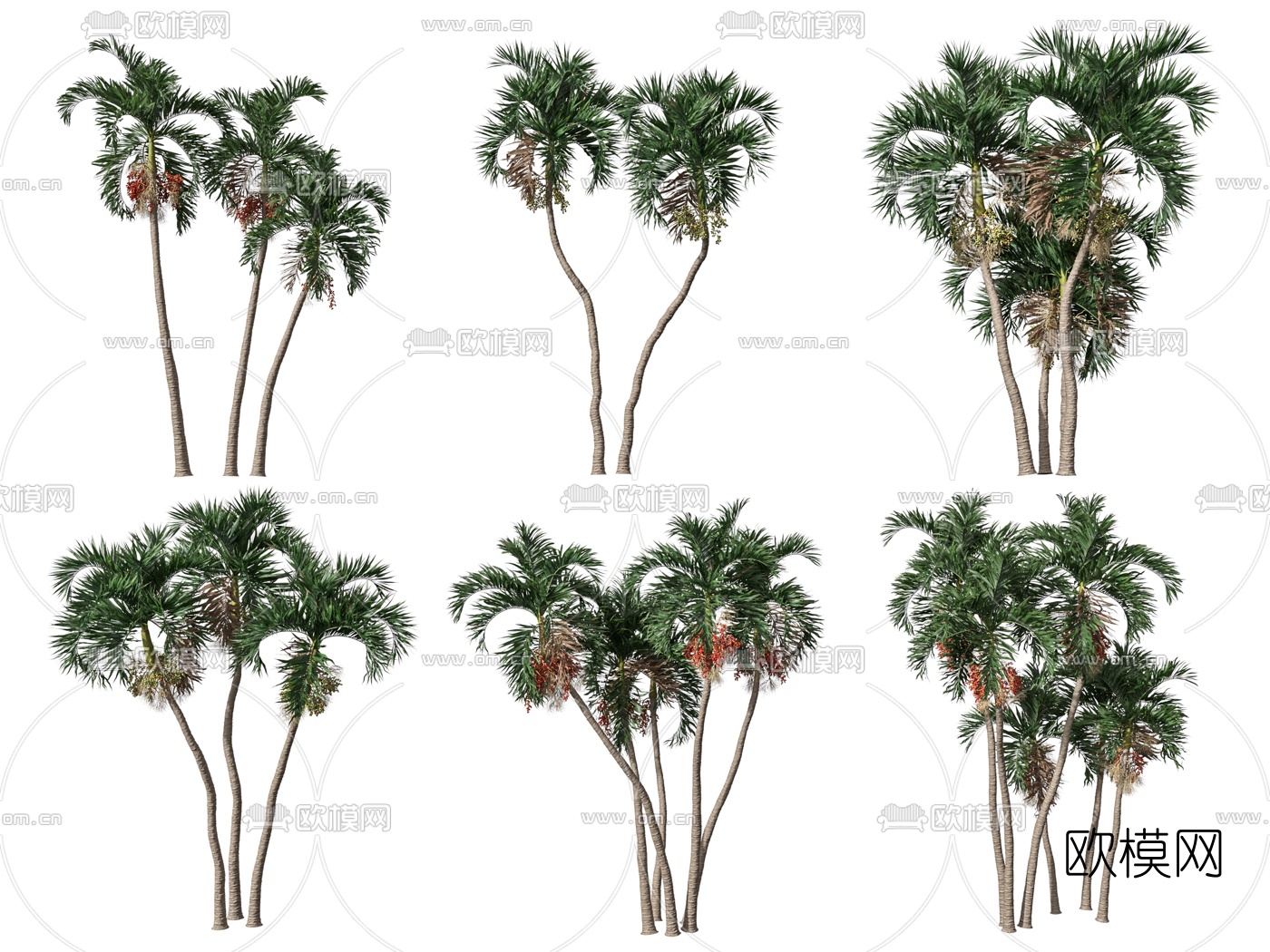 现代椰树景观树3d模型