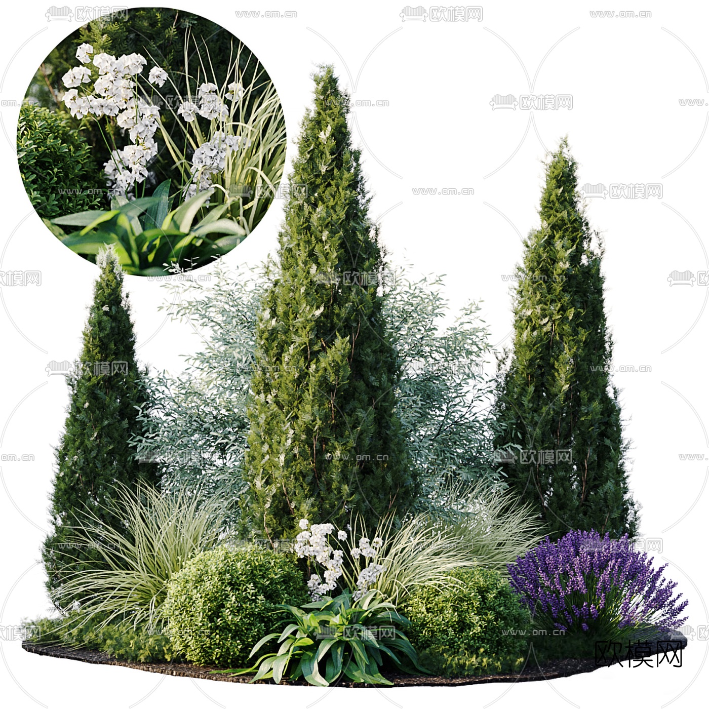 现代绿植灌木花丛3d模型下载（渲染图1）