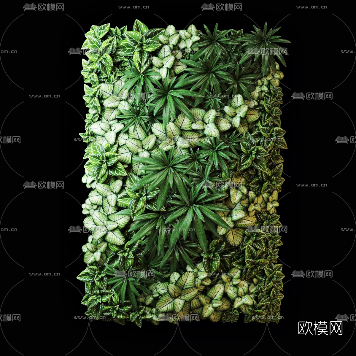 现代植物背景墙3d模型