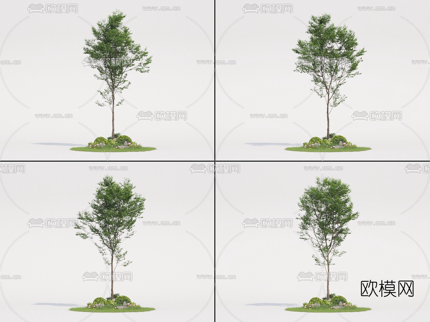 现代景观树3d模型