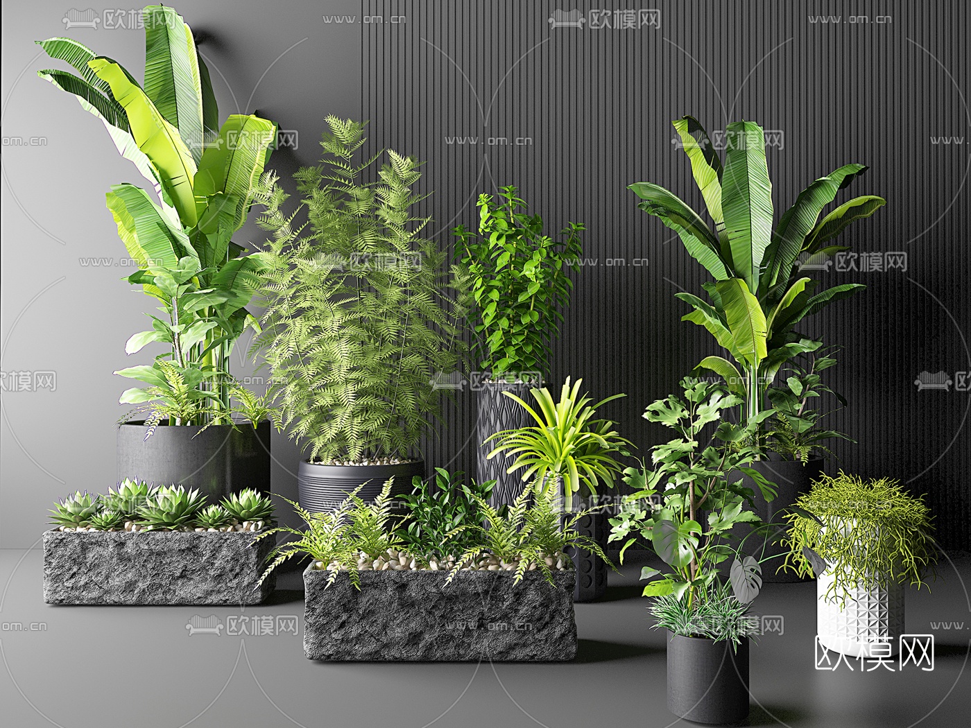 现代绿植盆栽3d模型