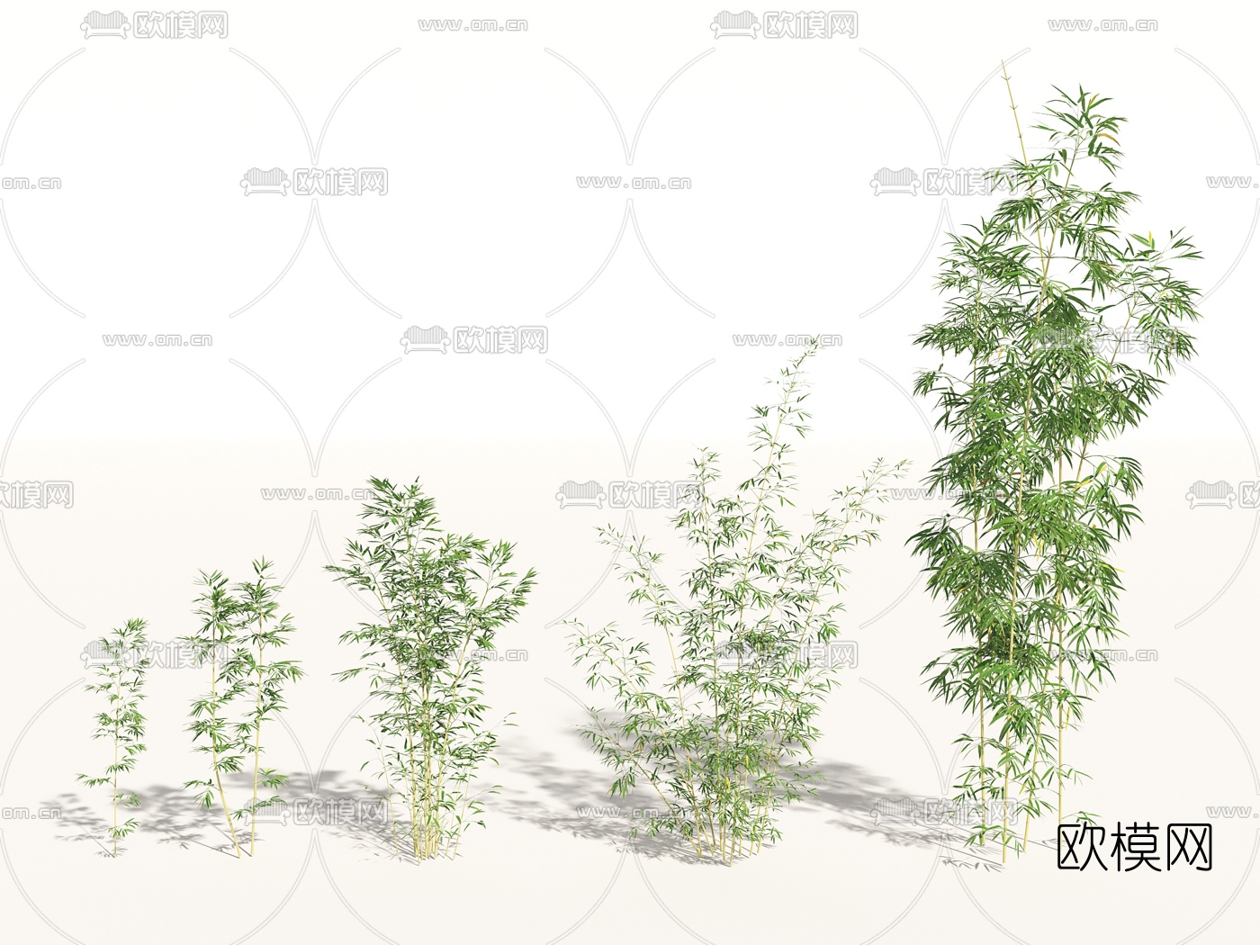 现代绿植竹子3d模型下载