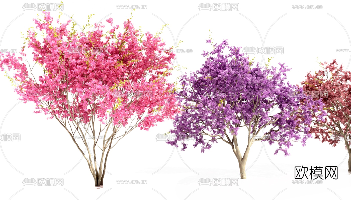 现代景观树3d模型下载（渲染图3）