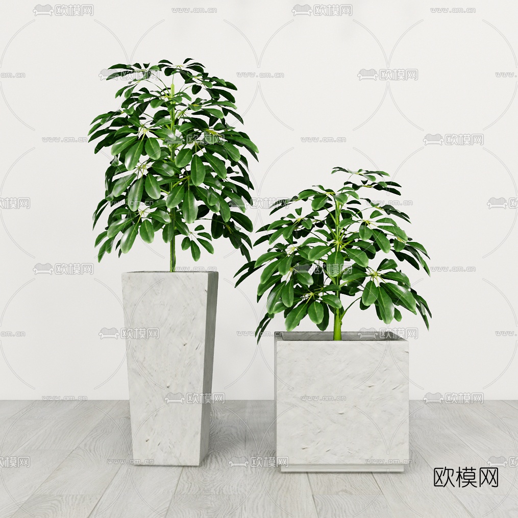 现代吊兰盆栽组合su模型下载（渲染图5）