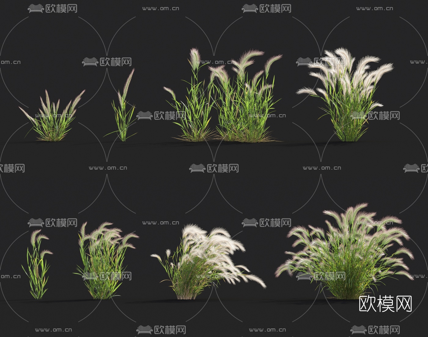 现代花草3d模型