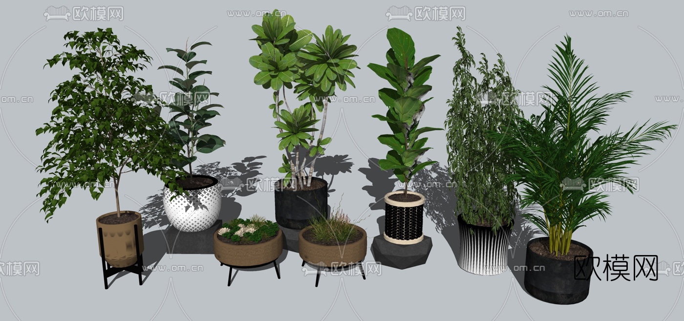 现代室内盆栽植物组合su模型下载
