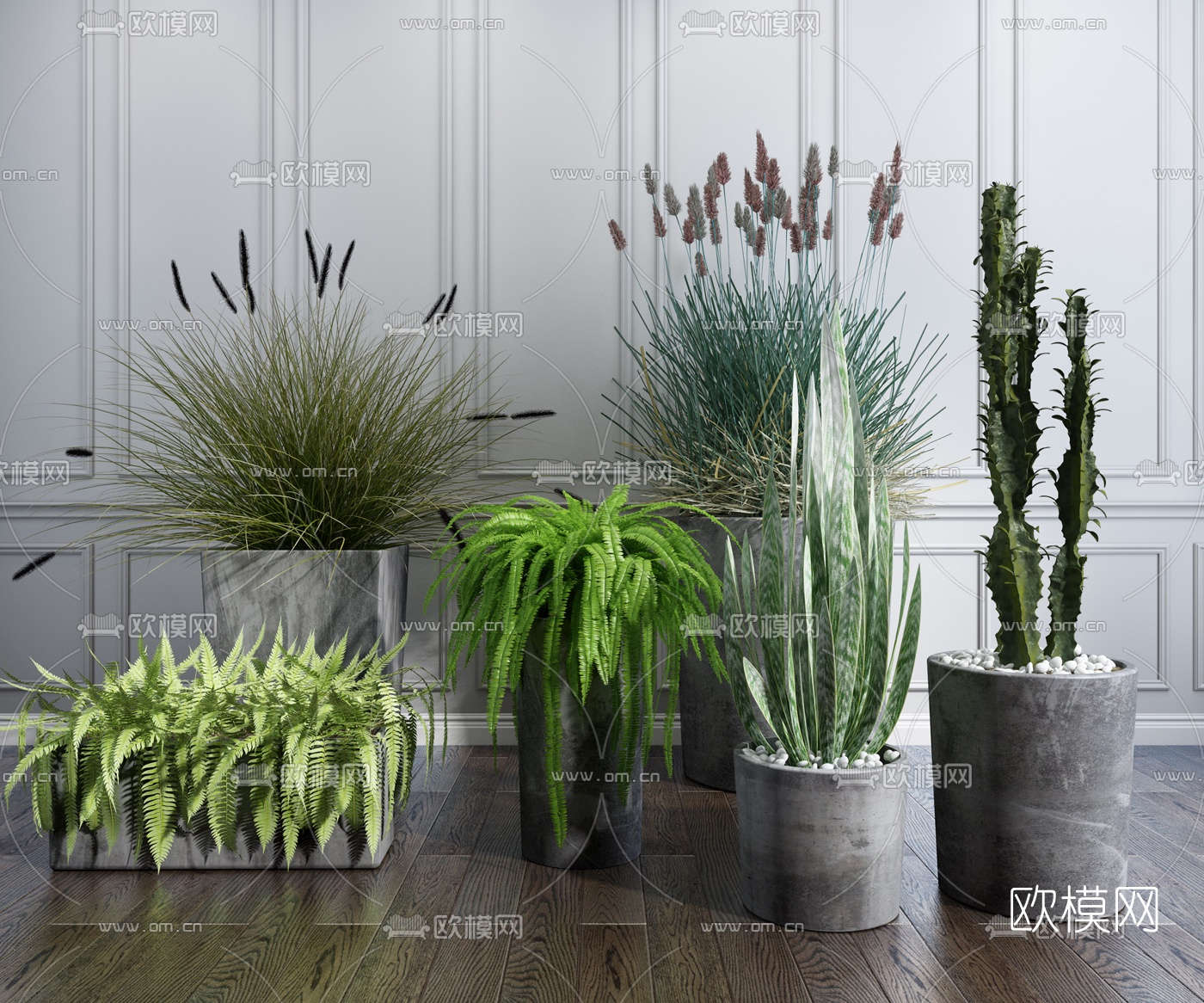 现代绿植盆栽3d模型下载